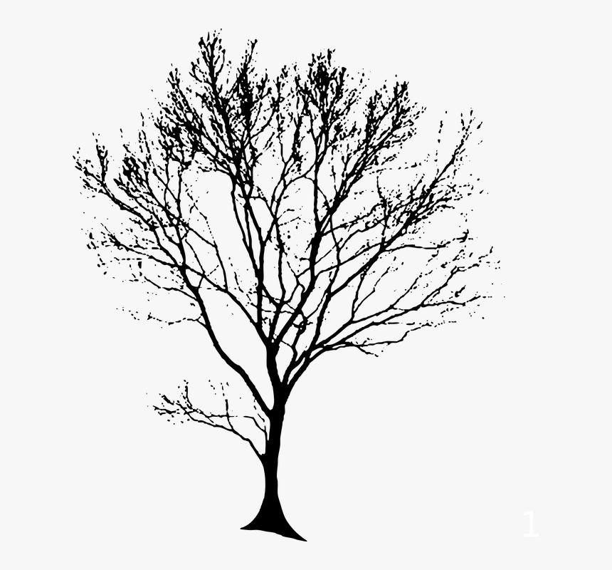 Tree, Silhouette, Black, Branches, Alone, Lonely - Architecture Tree Silhouette Png, Transparent Png, Free Download