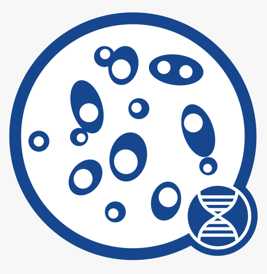 Yeast Dna Icon - Circle, HD Png Download, Free Download