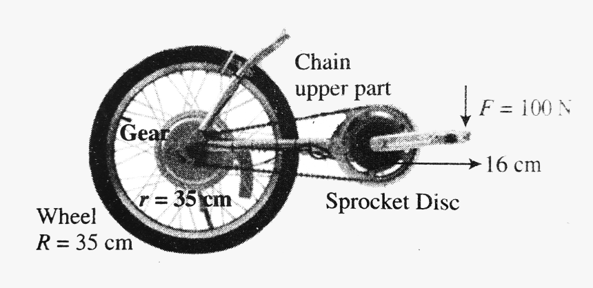 Gear Wheel Radius On Bike, HD Png Download, Free Download