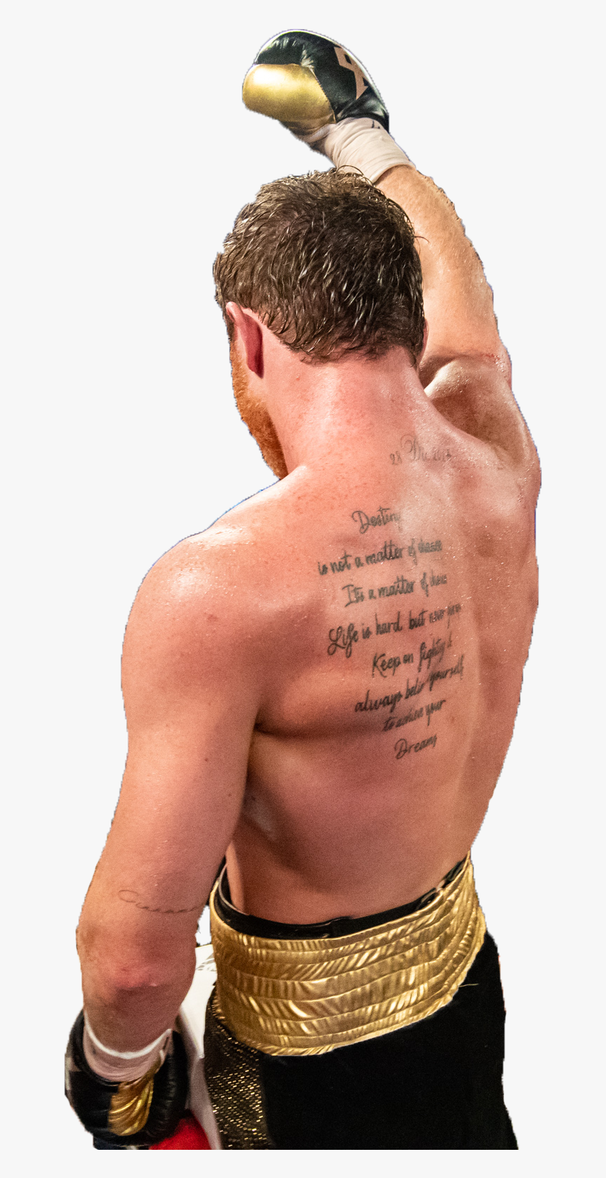 Canelo Alvarez Png, Transparent Png, Free Download