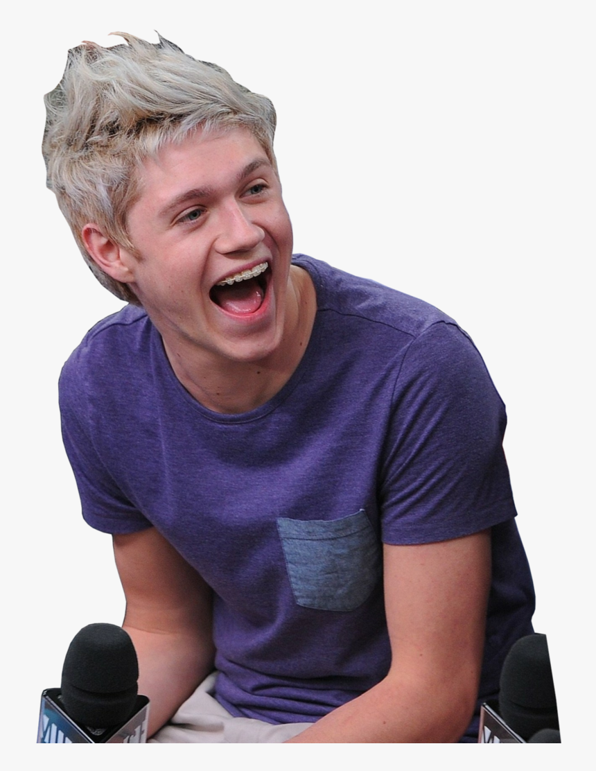 Png Niall Horan - Niall Horan And Zayn Malik Facts, Transparent Png, Free Download