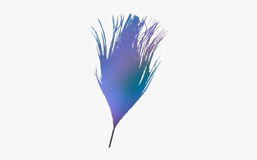 Peacock Feather Png Image With Transparent Background - Illustration, Png Download, Free Download