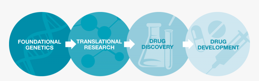 Caf Research Roadmap - Graphic Design, HD Png Download, Free Download