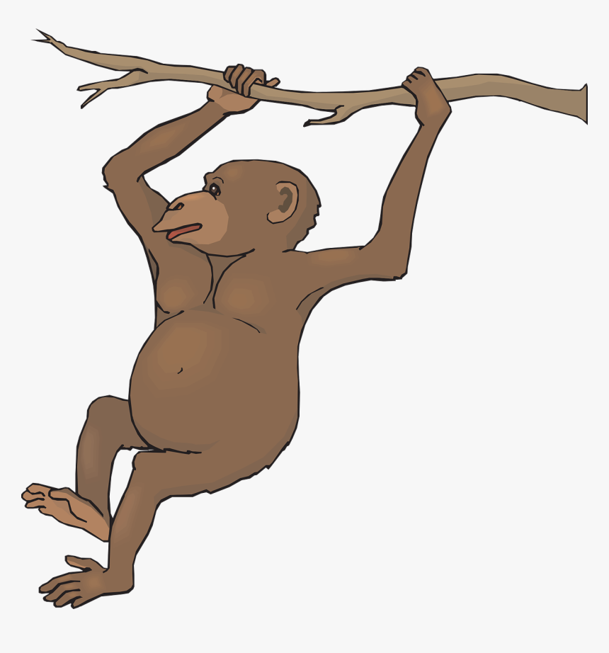 Branch, Swinging, Animal, Chimp, Hanging, Swing - Realistic Monkey Clipart, HD Png Download, Free Download