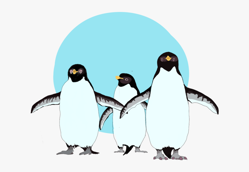 Penguins , Png Download - Adã©lie Penguin, Transparent Png, Free Download