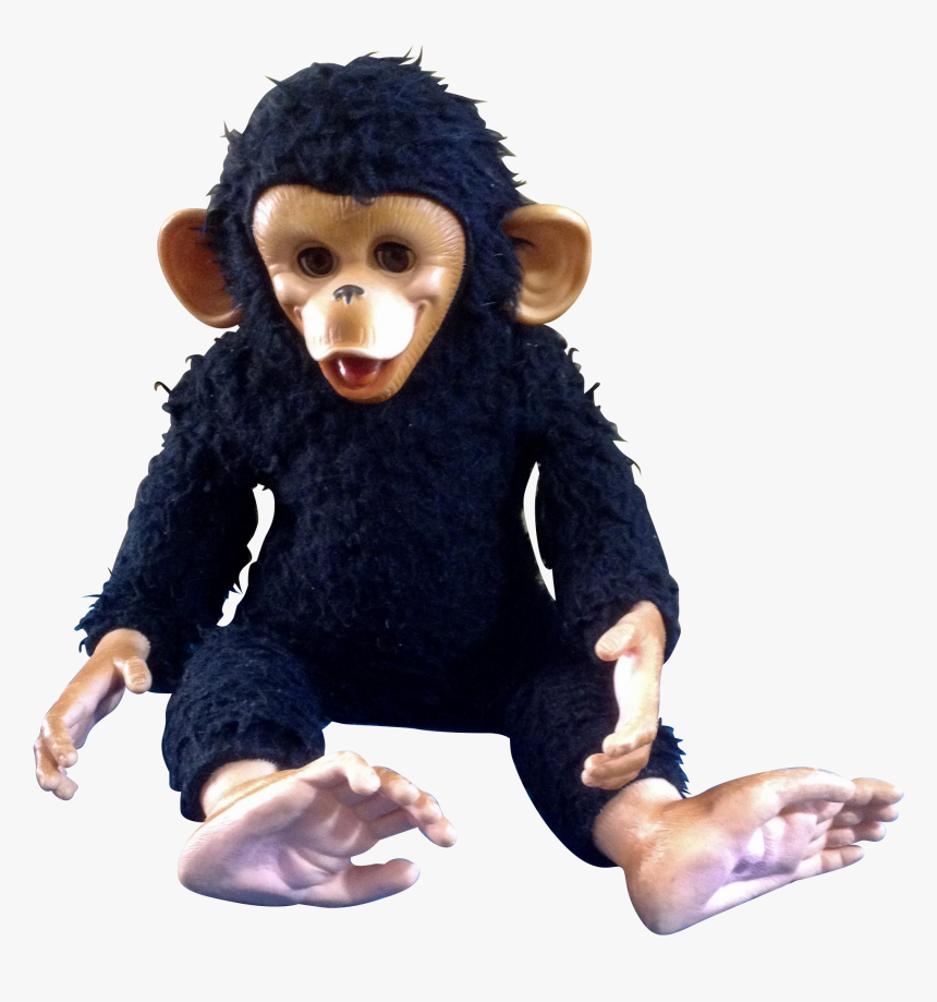 Chimp Png, Transparent Png, Free Download