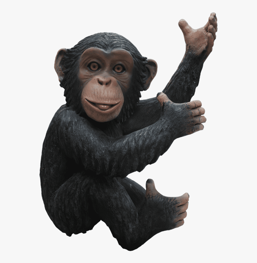 Plastic Monkey Life Size, HD Png Download, Free Download