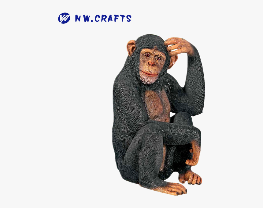Clip Art Chimp Scratching Head - Transparent Background Monkey Png, Png Download, Free Download