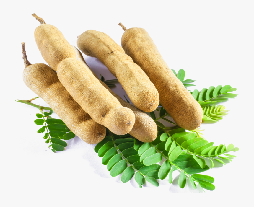 Clip Art Fruta Tamarindo - Unripe Tamarind, HD Png Download, Free Download