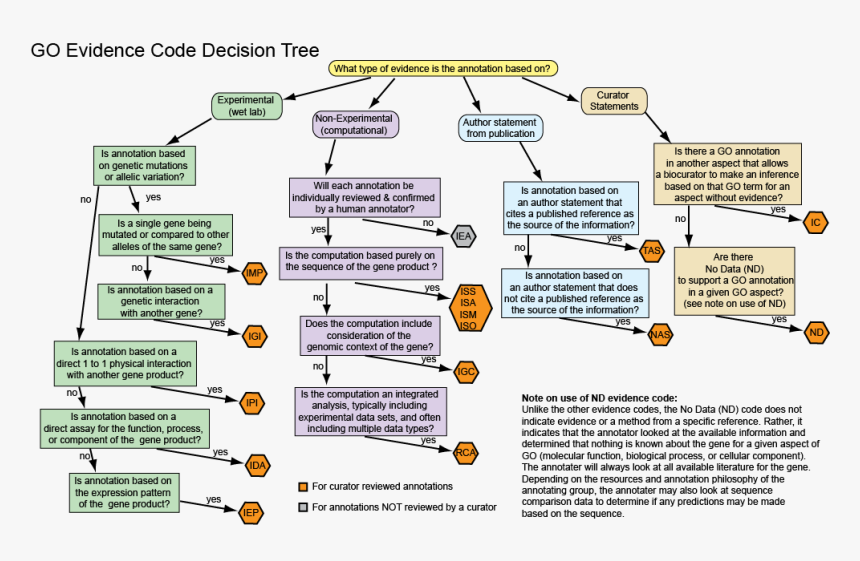 Diag-evcodeflowchartgood - Describing A Process, HD Png Download, Free Download