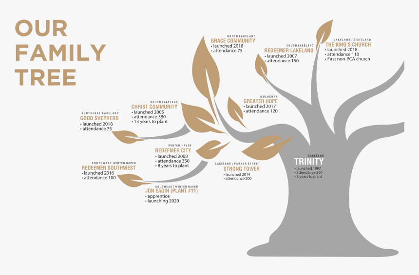 Rp Family Tree19 - Graphic Design, HD Png Download, Free Download