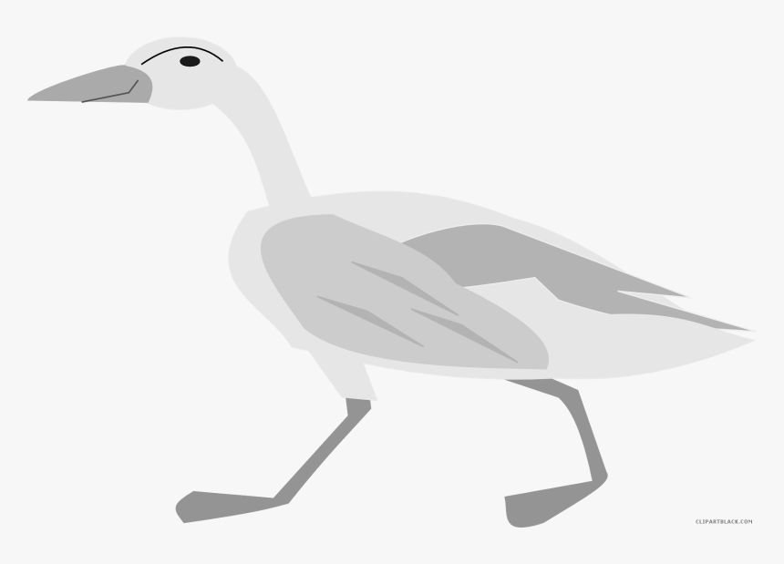 Transparent Geese Clipart - Duck, HD Png Download, Free Download