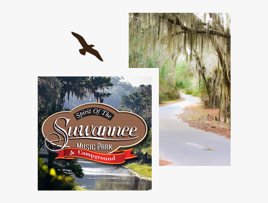 Rally 2 Live Oak Florida - Spirit Of Suwannee River, HD Png Download, Free Download