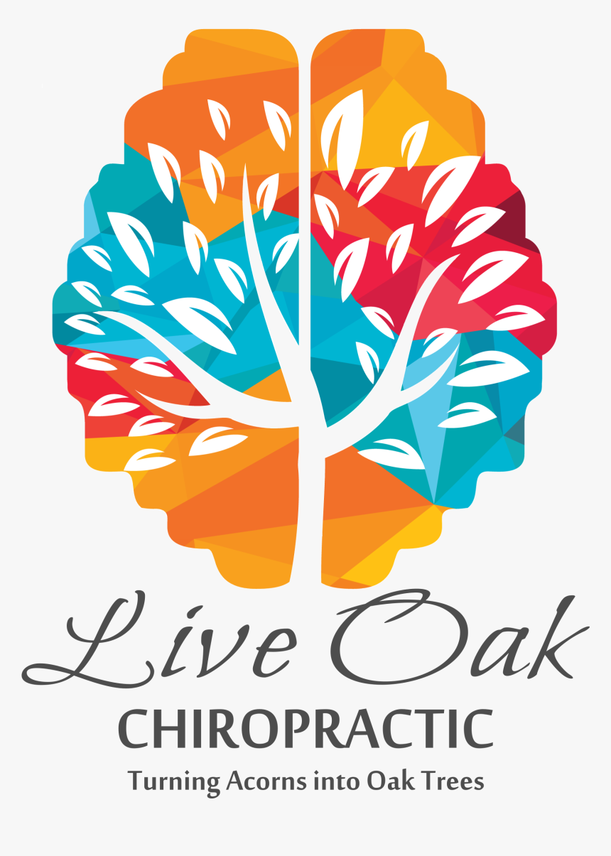 Live Oak Chiropractic - Vector Brain Tree Logo, HD Png Download, Free Download