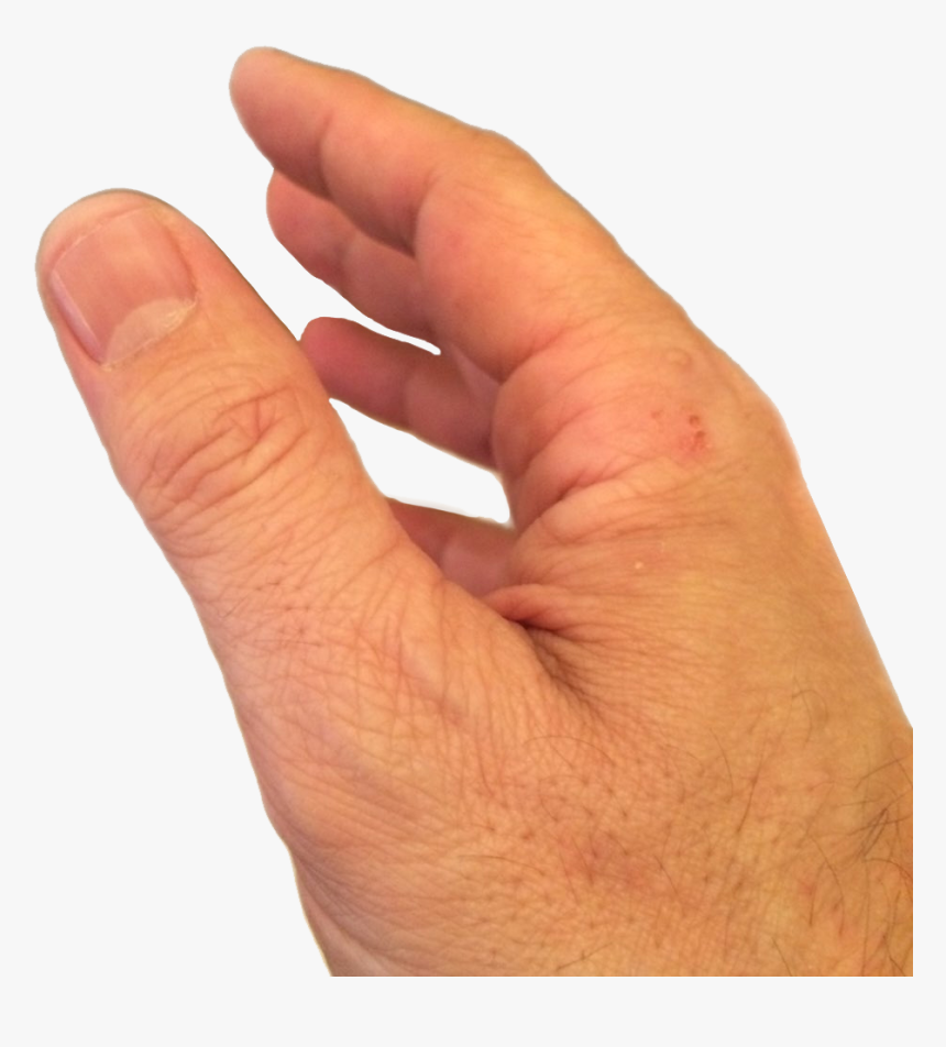 Hand Throwing Png, Transparent Png, Free Download