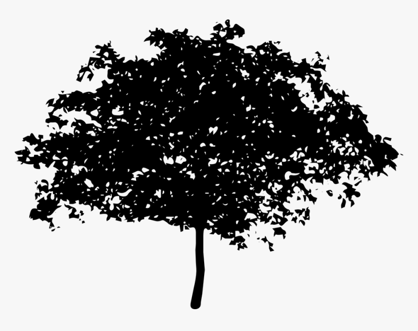 Tree, Bush, Nature, Leaves, Trunk, Silhouette - Giant Tree Silhouette Png, Transparent Png, Free Download
