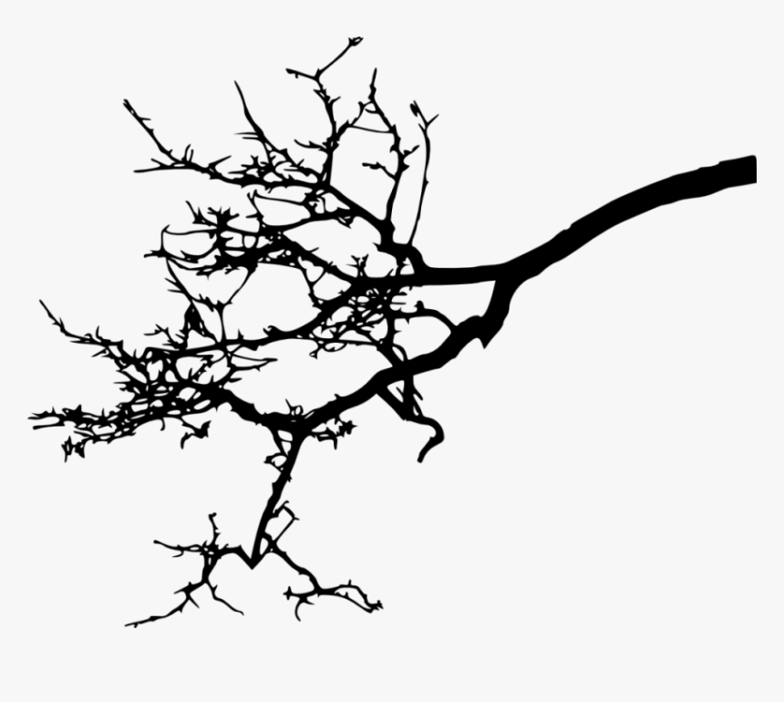 Free Png Tree Branch Silhouette Png Images Transparent - Tree Branch Silhouette Png, Png Download, Free Download