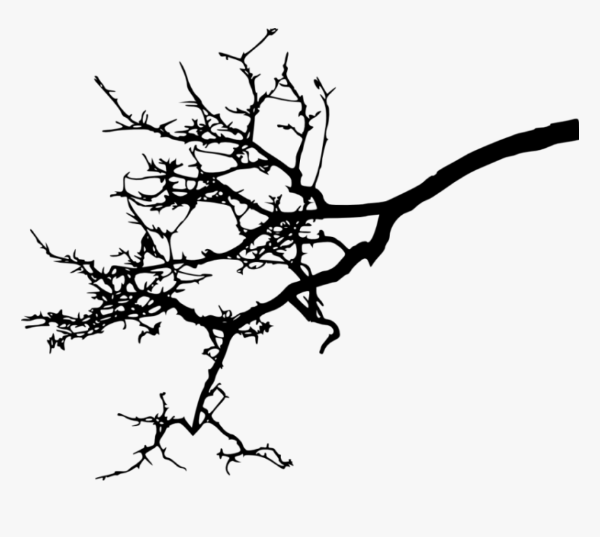 Free Png Tree Branch Silhouette Png Images Transparent Tree Branch Silhouette Png Png Download Kindpng