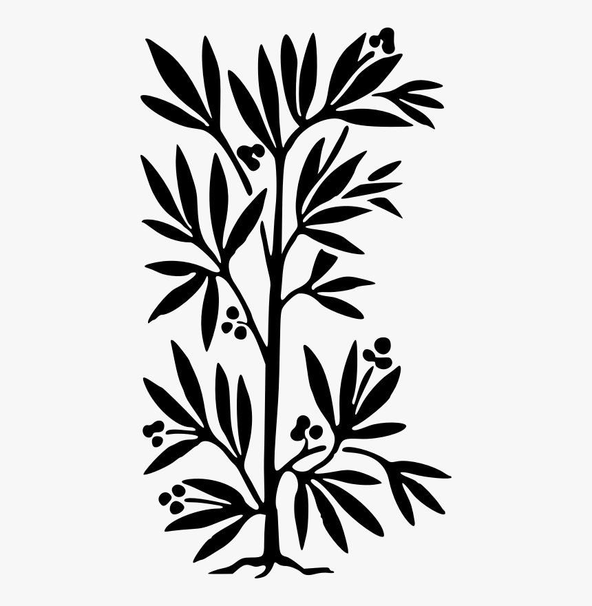 Plant Design - Clip Art Plant Silhouette, HD Png Download, Free Download