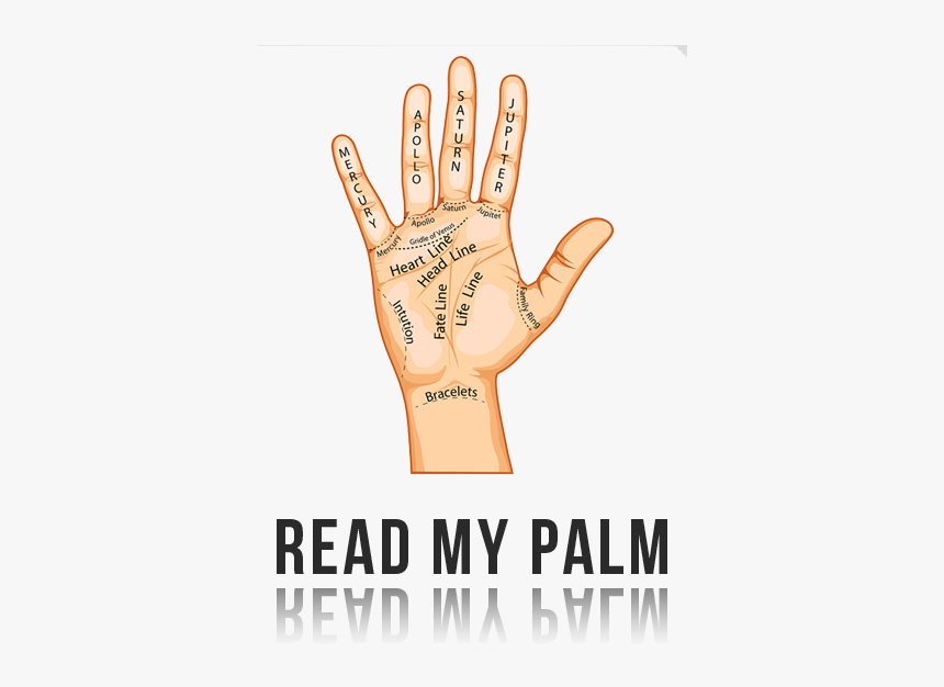 3 Major Lines On Your Palm, HD Png Download, Free Download