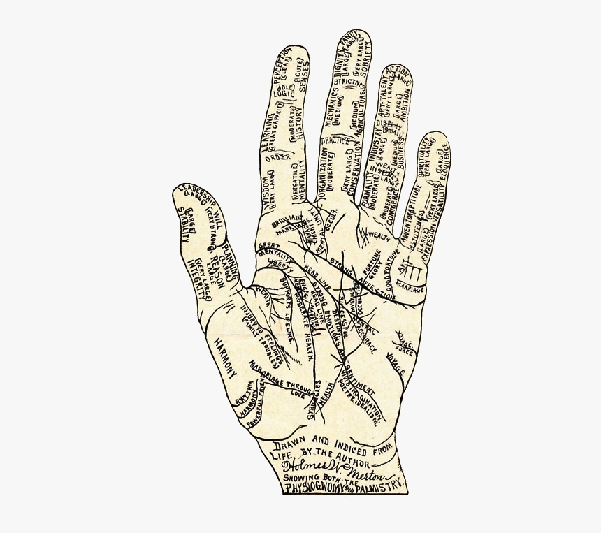 Bruce Lee Palmistry, HD Png Download, Free Download