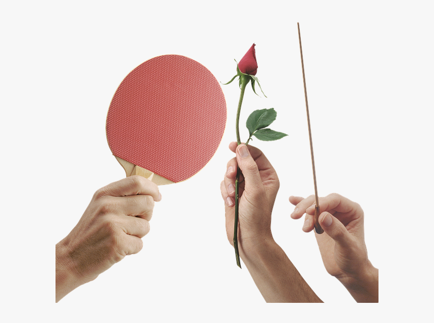 Hands, Hand, Palm, Brush, Ping Pong, Table Tennis, - Rose, HD Png Download, Free Download