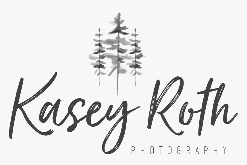 Tree Logo Photography Pnw, HD Png Download, Free Download