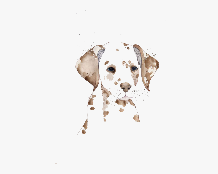 Dalmatian Dog Watercolor Painting Drawing Illustration - Water Color Dog No Background, HD Png Download, Free Download