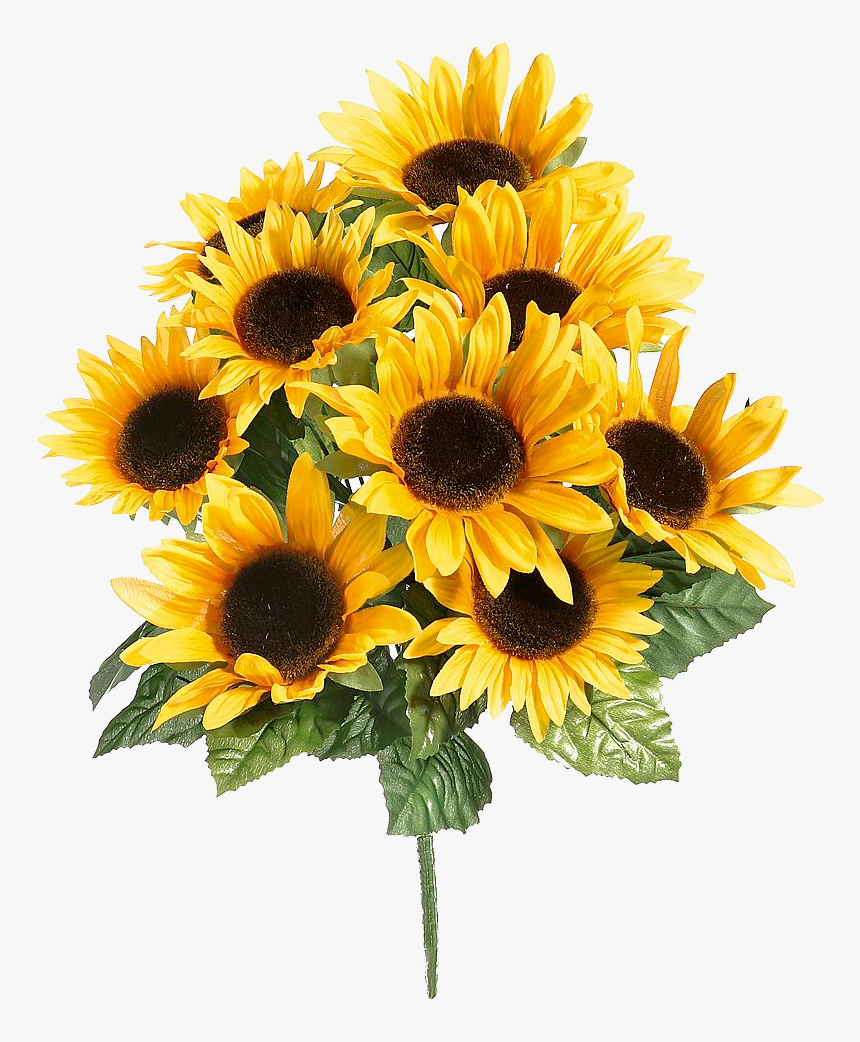 Flores De Girasol Png, Transparent Png, Free Download