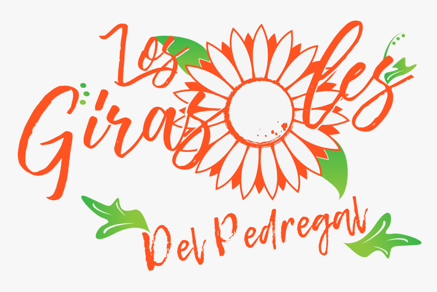Logotipo De Los Girasoles, HD Png Download, Free Download