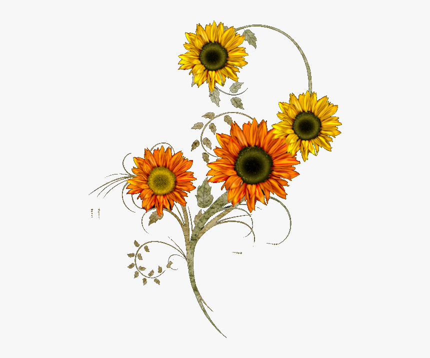 Happy Thanksgiving Pictures Flowers, HD Png Download, Free Download