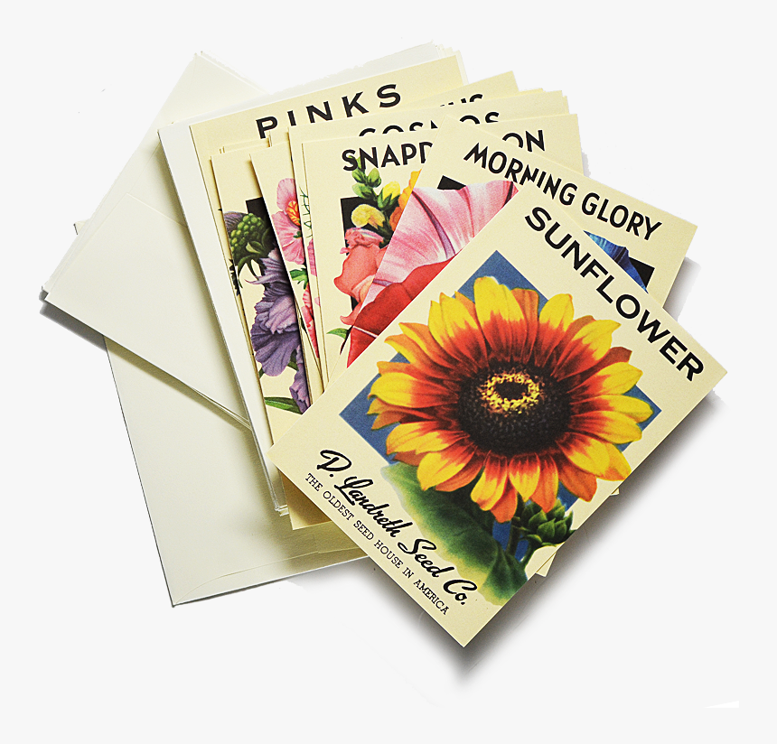 Heirloom Flower Seed Packet Note Cards $22 Girasoles, - Put In Goodie Bags For 15 Year Olds, HD Png Download, Free Download