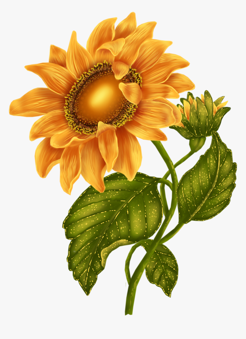 October 2015 « Archive - Real Sunflower Transparent Background Red Sunflower, HD Png Download, Free Download