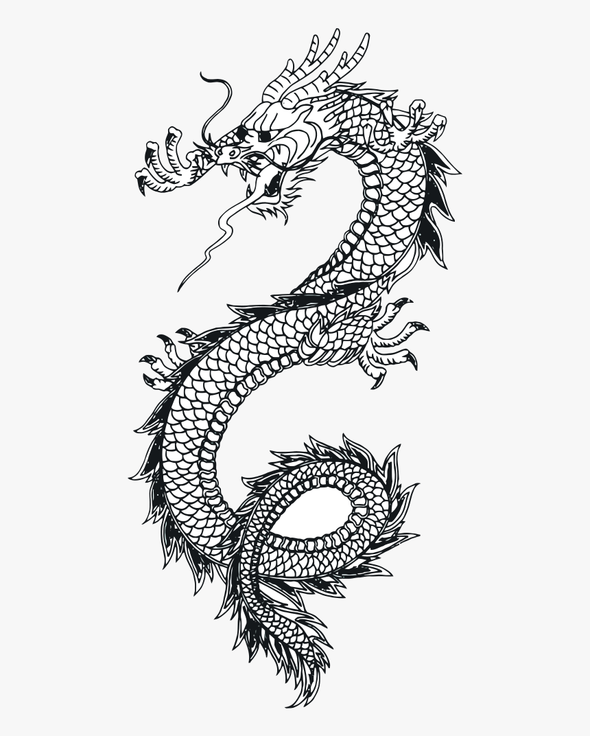 Dragon Vector Art 1 W/o Text - Tattoo Dragon Png, Transparent Png, Free Download