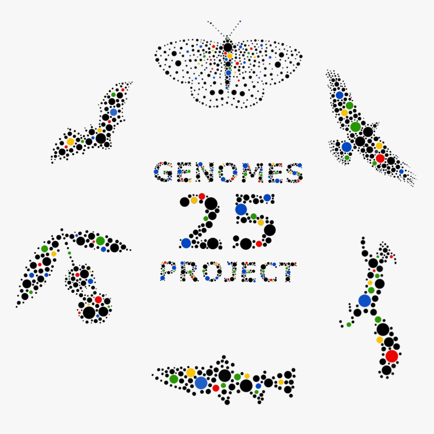 25genomeslogo - Genome, HD Png Download, Free Download