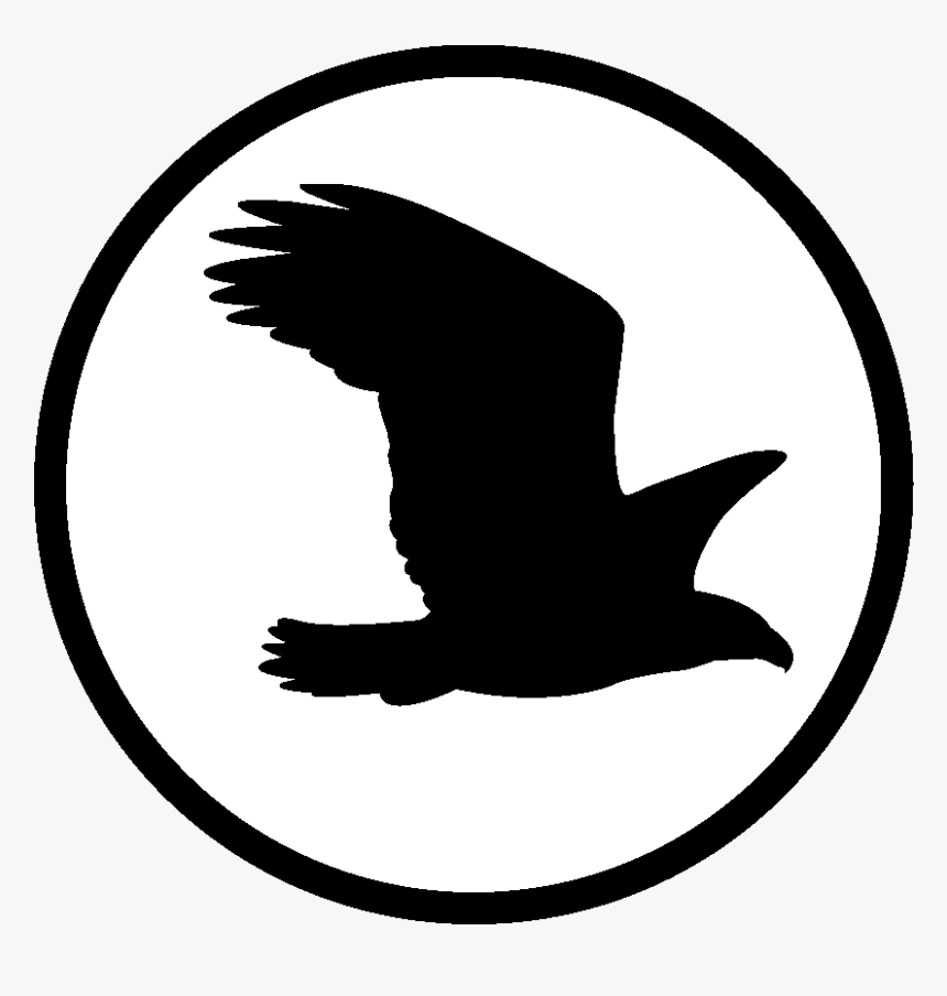 Silueta De Aguila En Vuelo - Silueta Águila Png, Transparent Png - kindpng