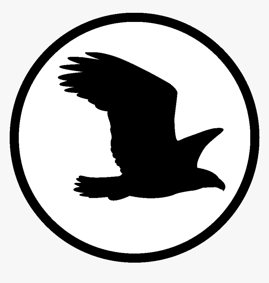 Silueta De Aguila En Vuelo - Silueta Águila Png, Transparent Png, Free Download