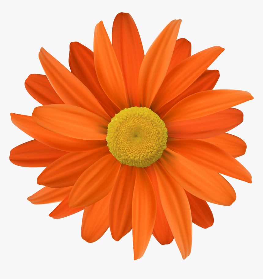 Transparent Png Clip Art - Transparent Background Orange Flower Png, Png Download, Free Download