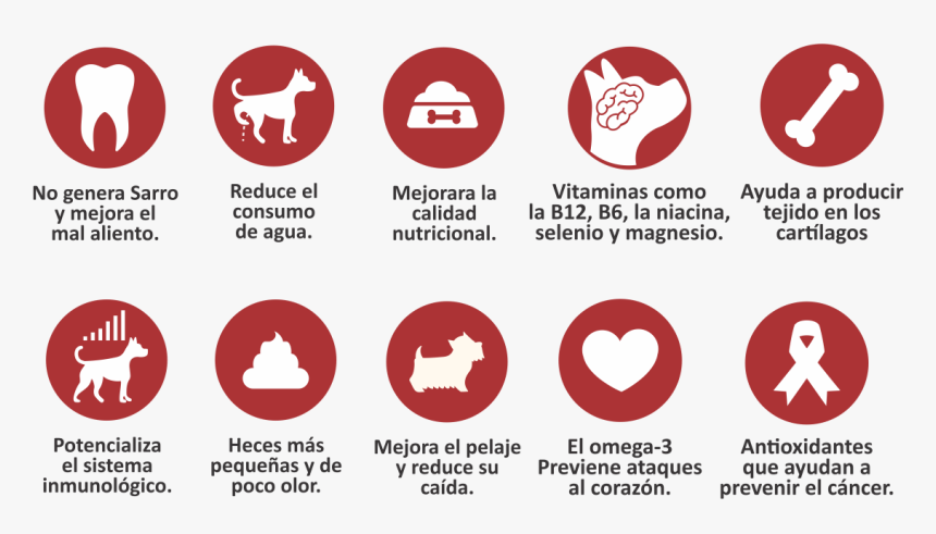 Beneficios De La Dieta Barf , Png Download - Beneficios De La Dieta Barf, Transparent Png, Free Download