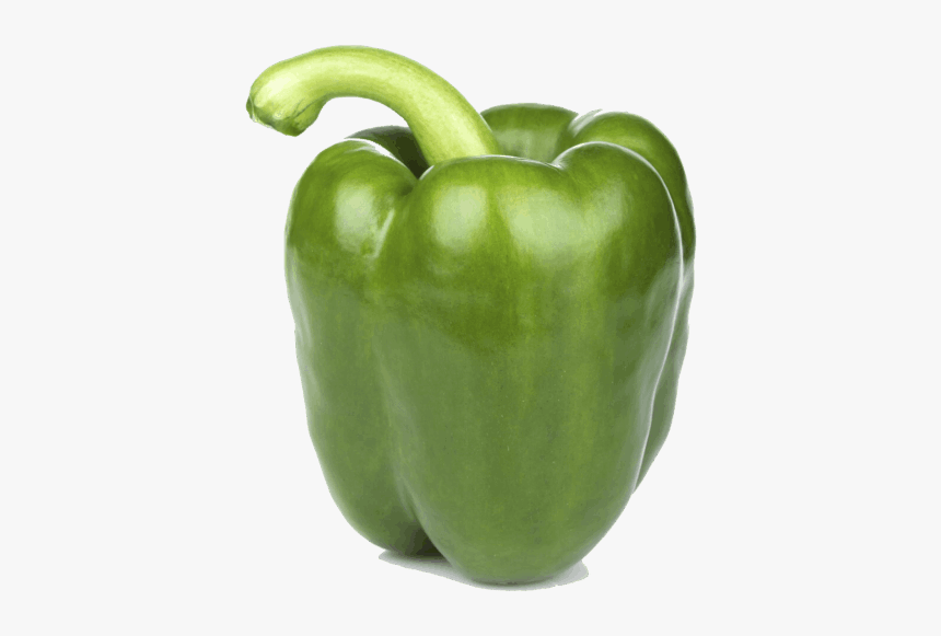 Mobirise - Sweet Pepper Green, HD Png Download, Free Download