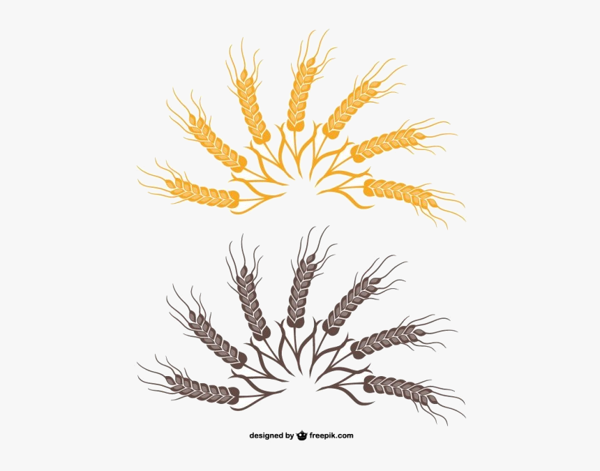 Wheat Clipart Images Vectors Free Vector Art Transparent - Illustration, HD Png Download, Free Download