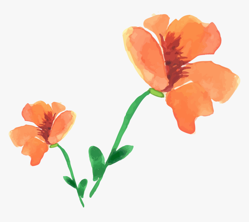 Painting Poppy Flower Painted Floral Decoration - Orange Watercolor Flower Png, Transparent Png, Free Download