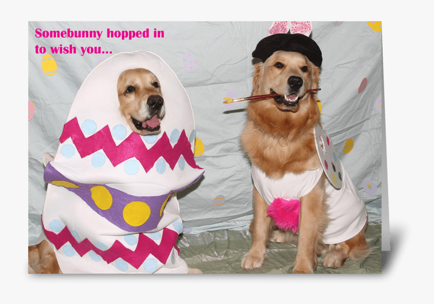 Golden Easter Bunny Painting Easter Egg Greeting Card - Golden Retriever, HD Png Download, Free Download