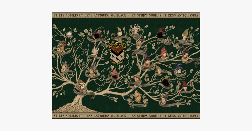 Harry Potter Black Family Tree, HD Png Download, Free Download