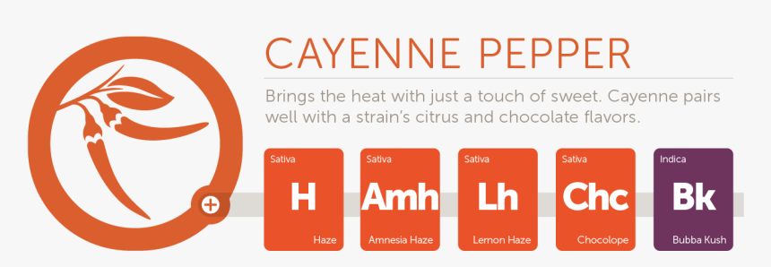 Cayenne@2x - Graphic Design, HD Png Download, Free Download