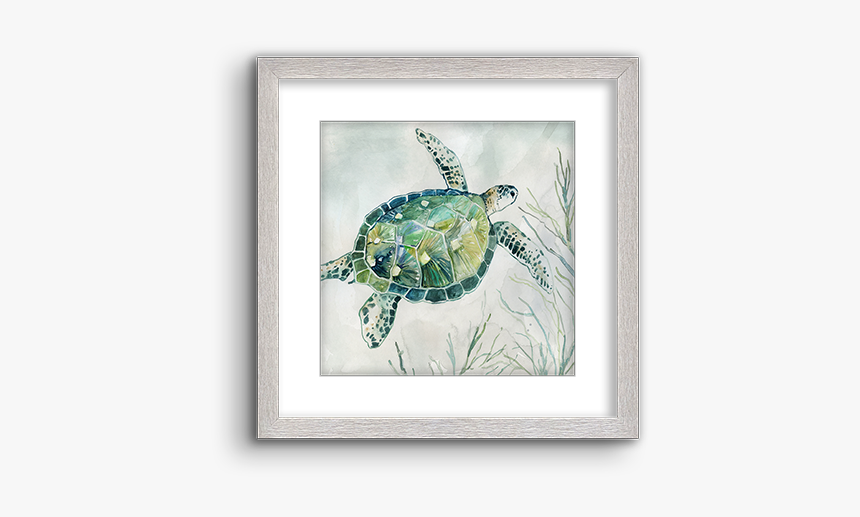 Green Sea Turtle, HD Png Download, Free Download