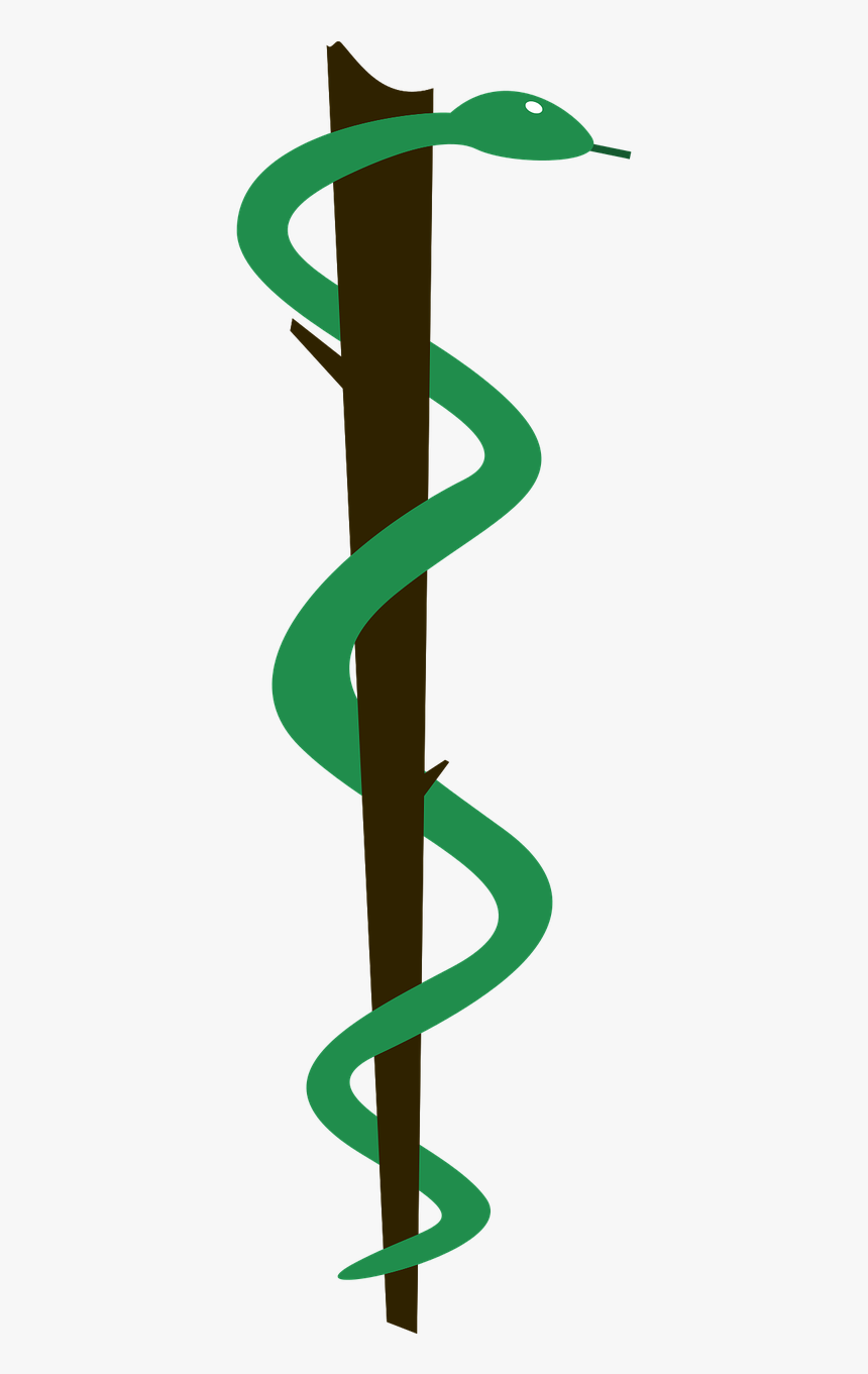 Brazilian Medicine Symbol - Green Snake Medicine Logo, HD Png Download, Free Download