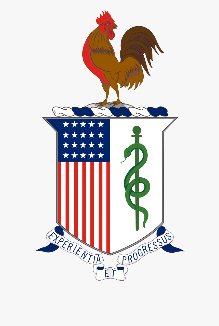 Us Army Medical Corps Crest, HD Png Download, Free Download