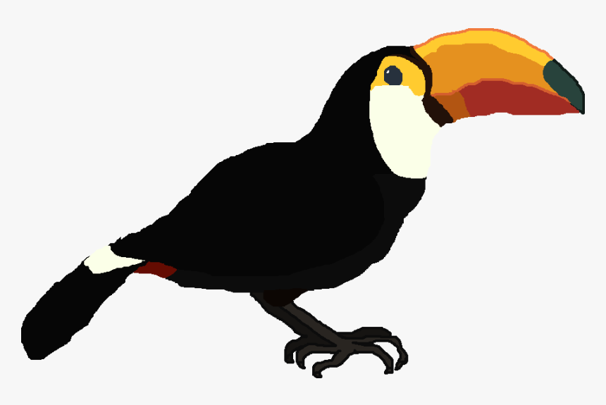 Clipart Birds Tucan - Toucan Pngs, Transparent Png, Free Download
