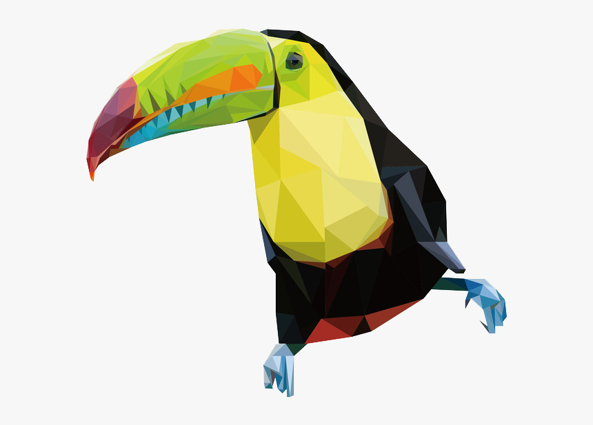 Parrot - Toucan, HD Png Download, Free Download